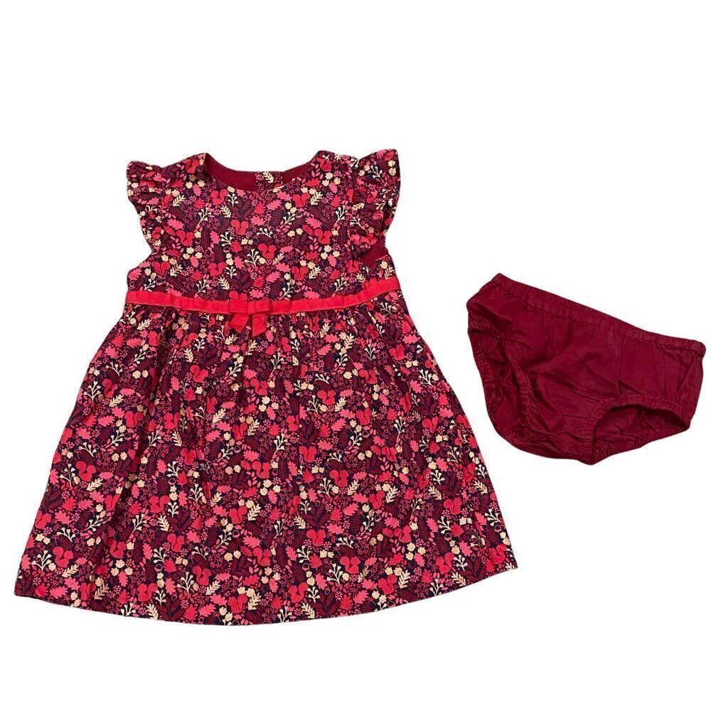Gymboree Girl's Woodland Tail Dress Set - Size 18-24 months - Like New!